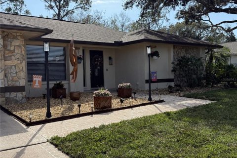 House in Palm Harbor, Florida 3 bedrooms, 227.33 sq.m. № 1847411 - photo 4