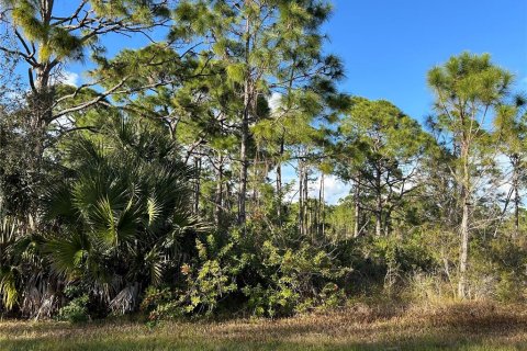 Land in Port Charlotte, Florida № 2163239 - photo 6
