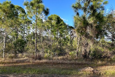 Land in Port Charlotte, Florida № 2163239 - photo 2