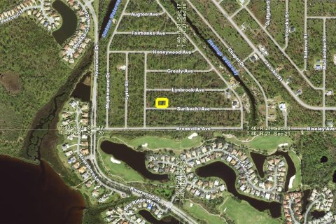 Land in Port Charlotte, Florida № 2163239 - photo 5