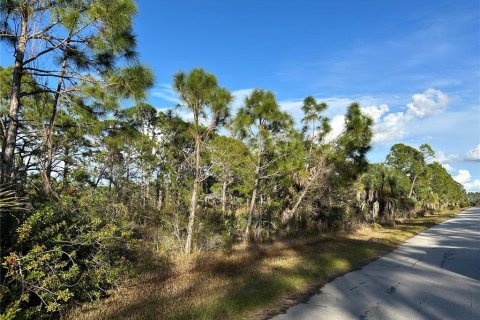 Land in Port Charlotte, Florida № 2163239 - photo 4
