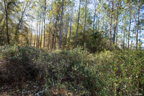 Land in Keystone Heights, Florida № 2233224 - photo 12