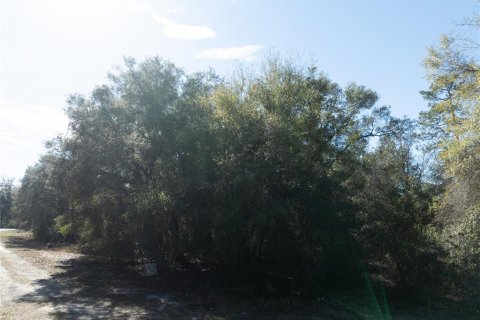 Land in Keystone Heights, Florida № 2233224 - photo 6