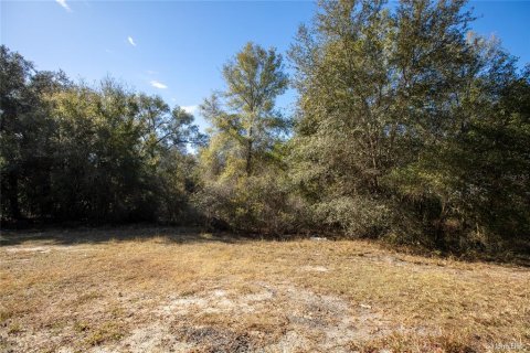 Land in Keystone Heights, Florida № 2233224 - photo 9