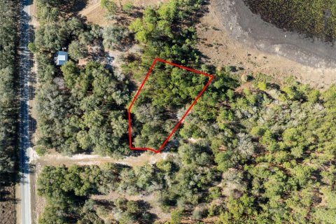Land in Keystone Heights, Florida № 2233224 - photo 2