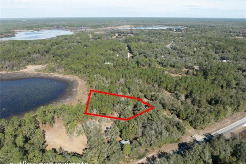 Land in Keystone Heights, Florida № 2233224 - photo 3