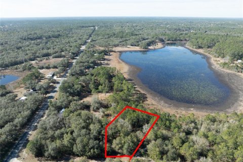 Land in Keystone Heights, Florida № 2233224