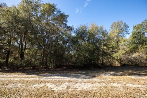 Land in Keystone Heights, Florida № 2233224 - photo 8