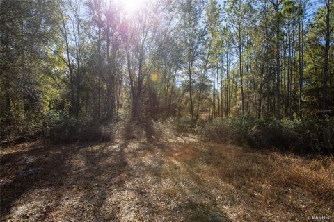 Land in Keystone Heights, Florida № 2233224 - photo 11