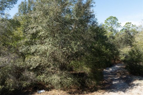 Land in Keystone Heights, Florida № 2233224 - photo 7