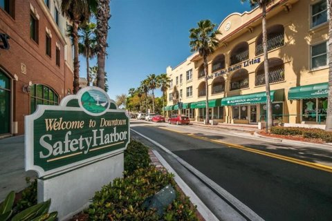 Casa en alquiler en Safety Harbor, Florida, 3 dormitorios, 188.03 m2 № 1839972 - foto 28