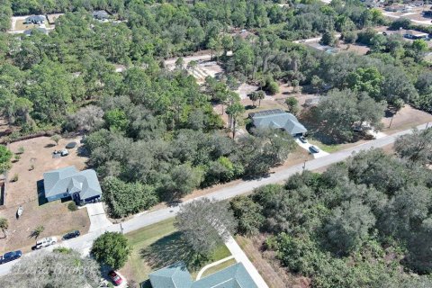 Land in Lehigh Acres, Florida № 2160890 - photo 7