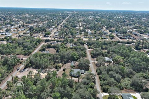 Land in Lehigh Acres, Florida № 2160890 - photo 9
