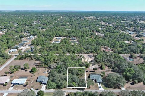 Land in Lehigh Acres, Florida № 2160890 - photo 8