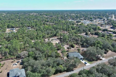 Land in Lehigh Acres, Florida № 2160890 - photo 6