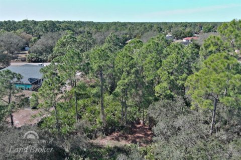 Land in Lehigh Acres, Florida № 2160890 - photo 14