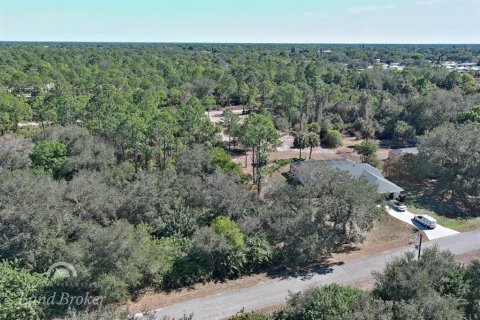 Land in Lehigh Acres, Florida № 2160890 - photo 3