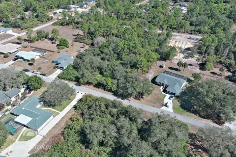 Land in Lehigh Acres, Florida № 2160890 - photo 5