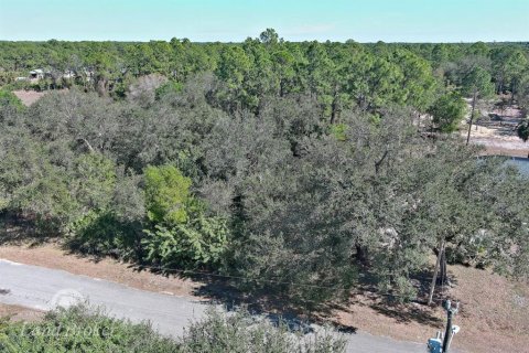 Land in Lehigh Acres, Florida № 2160890 - photo 2