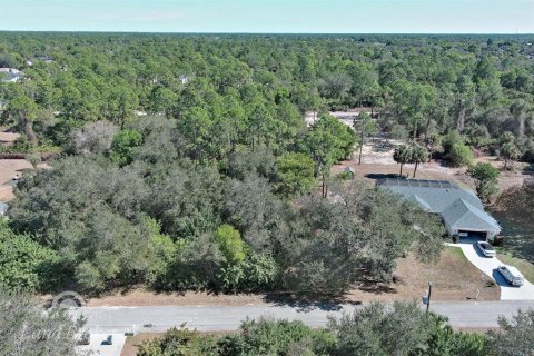 Land in Lehigh Acres, Florida № 2160890 - photo 4
