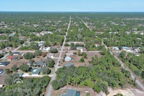 Land in Lehigh Acres, Florida № 2160890 - photo 10