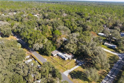 Land in Inverness, Florida № 2162432 - photo 7