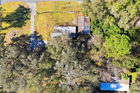 Land in Inverness, Florida № 2162432 - photo 4