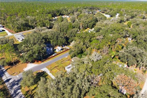 Land in Inverness, Florida № 2162432 - photo 10