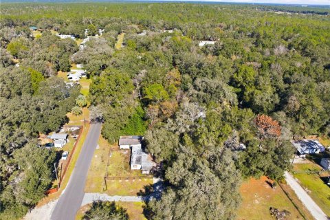 Land in Inverness, Florida № 2162432 - photo 8