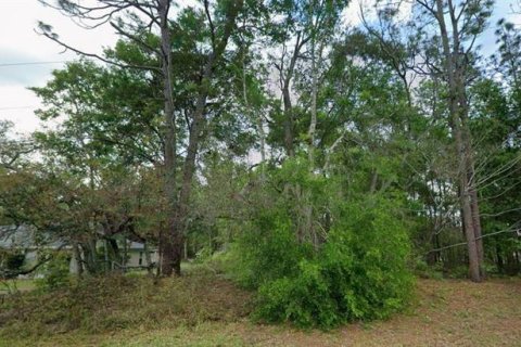Land in Citrus Springs, Florida № 2218581