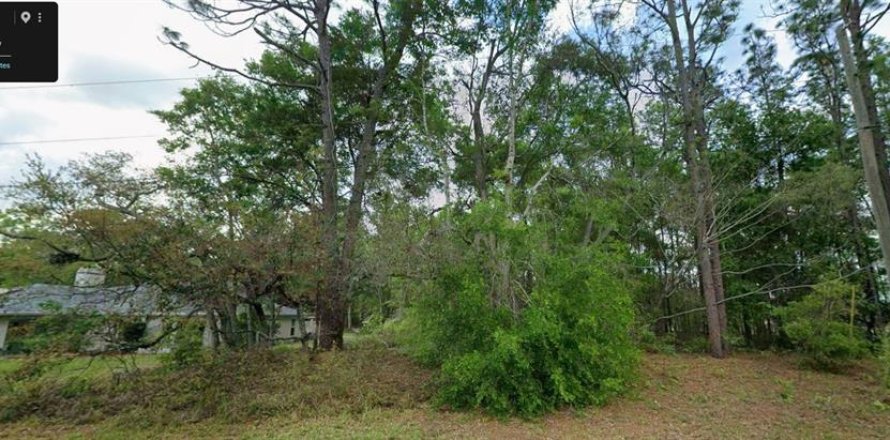 Land in Citrus Springs, Florida № 2218581