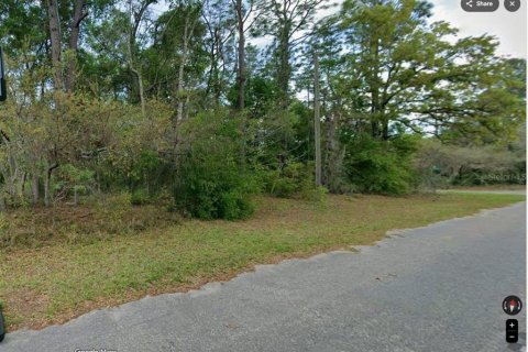 Land in Citrus Springs, Florida № 2218581 - photo 5