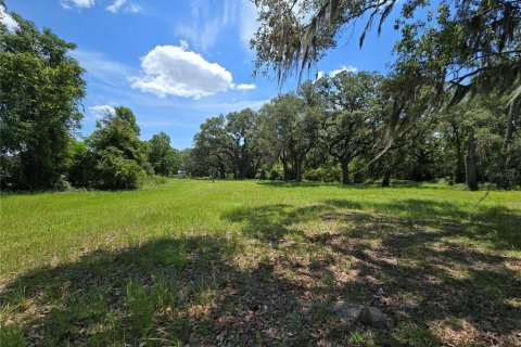 Terrain à Branford, Floride № 2222387