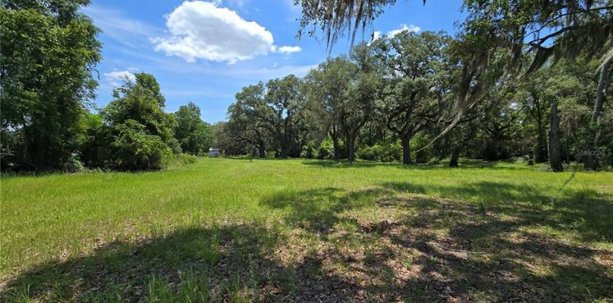 Terrain à Branford, Floride № 2222387