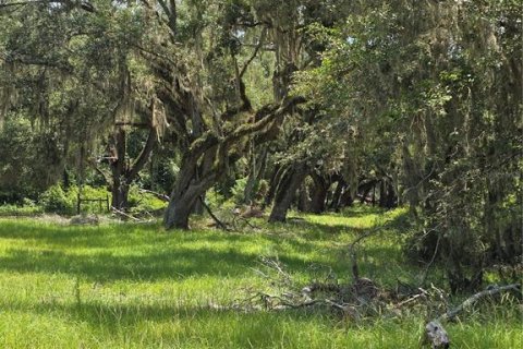 Terrain à vendre à Branford, Floride № 2222387 - photo 8