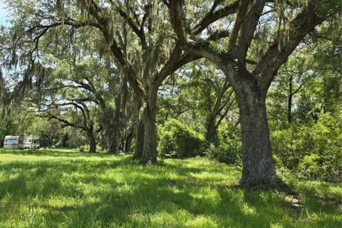 Terrain à vendre à Branford, Floride № 2222387 - photo 4