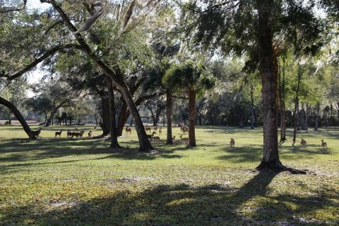 Terreno en venta en Fort MC Coy, Florida № 1554445 - foto 11