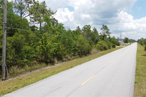 Land in Orlando, Florida № 2237428 - photo 6