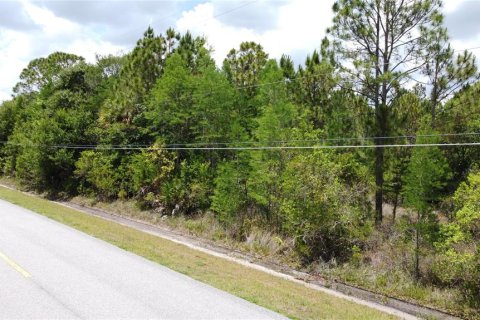 Land in Orlando, Florida № 2237428 - photo 5