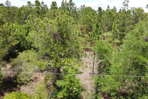 Land in Orlando, Florida № 2237428 - photo 2