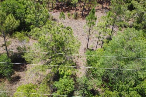 Land in Orlando, Florida № 2237428 - photo 7