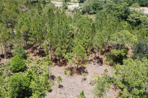 Land in Orlando, Florida № 2237428 - photo 9