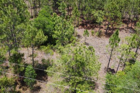 Land in Orlando, Florida № 2237428 - photo 11