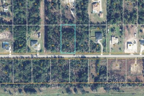 Land in Orlando, Florida № 2237428 - photo 3
