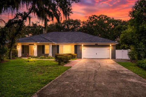 House in Dover, Florida 4 bedrooms, 240.8 sq.m. № 2361491