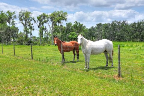 Land in Fish Hawk, Florida № 2105832