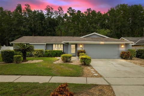Casa en venta en Tampa, Florida, 3 dormitorios, 182.09 m2 № 1899606 - foto 1