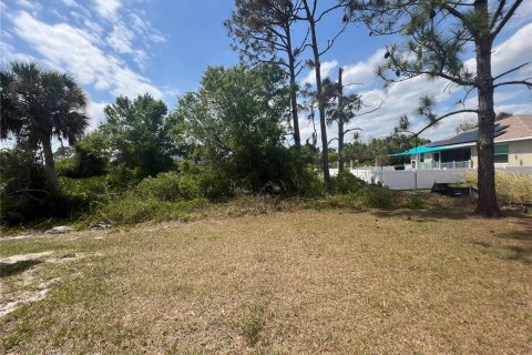 Casa en alquiler en Rotonda, Florida, 3 dormitorios, 147.25 m2 № 2218987 - foto 30