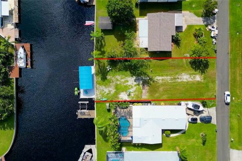 Land in Fort Myers, Florida № 1431154 - photo 3