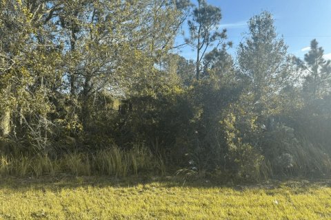 Immobilier commercial à Okeechobee, Floride № 2392548